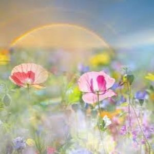 Meet your Posher, Jasmin